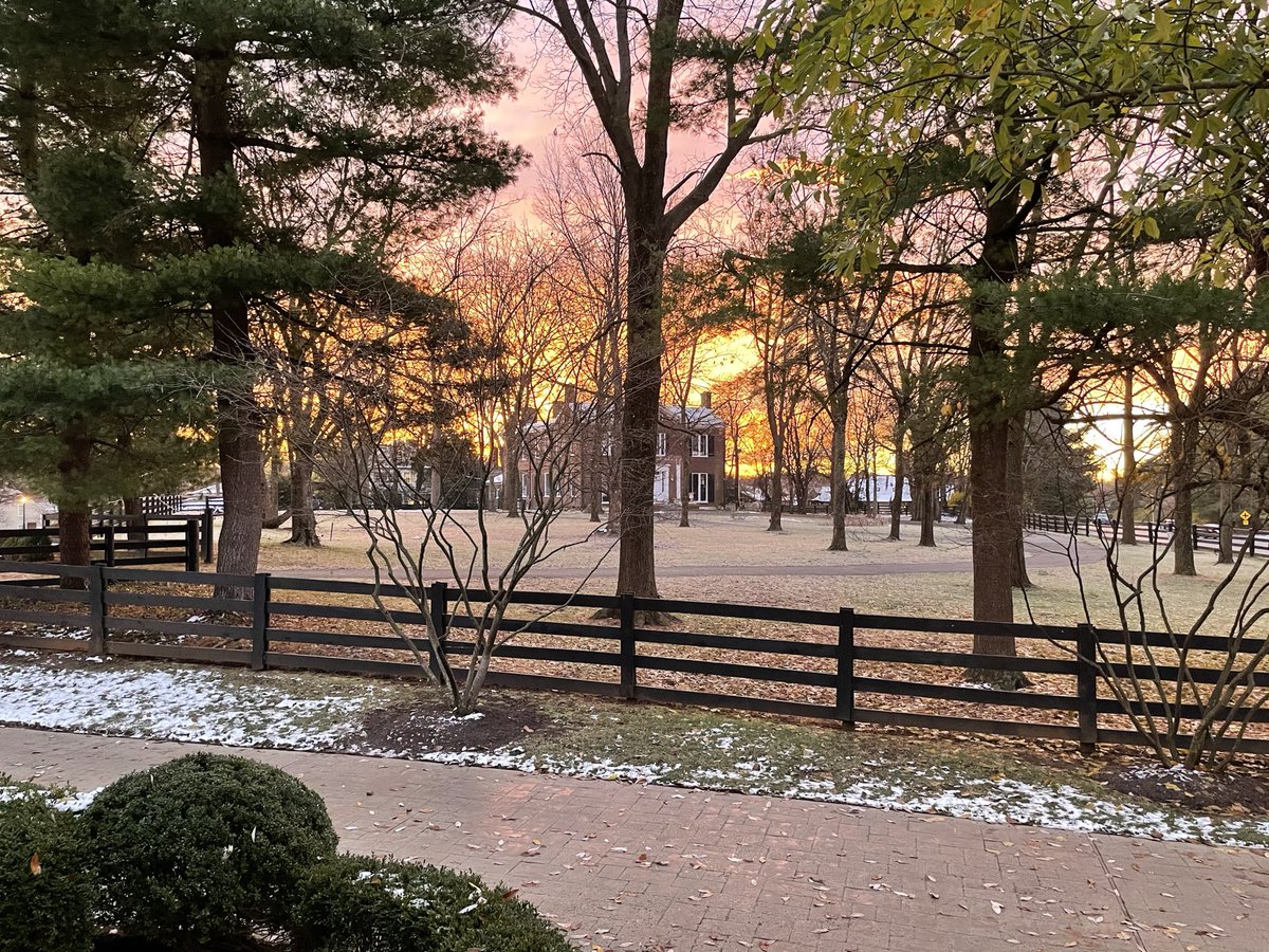 devintweed's tweet image. Great morning on ‘the farm’.