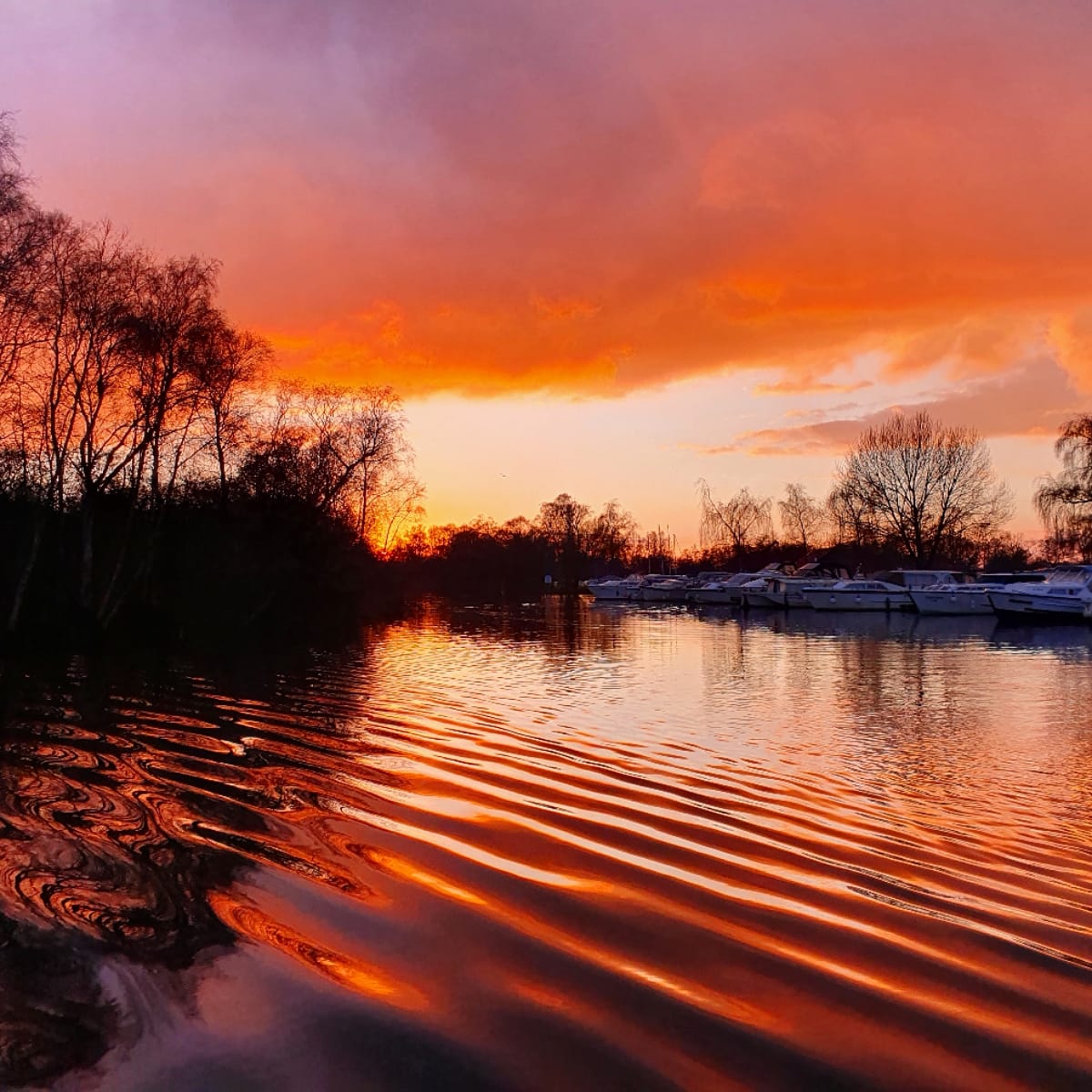 Beautiful sunset tonight at the Boatyard.  Winter skies are often filled with colour but personally nothing beats a Spring or Summer one. Think I've got a bit of a  wait for that!! Still only 16 days till evenings start to get lighter.  #norfolkbroads #sunsetphotography #WINTER