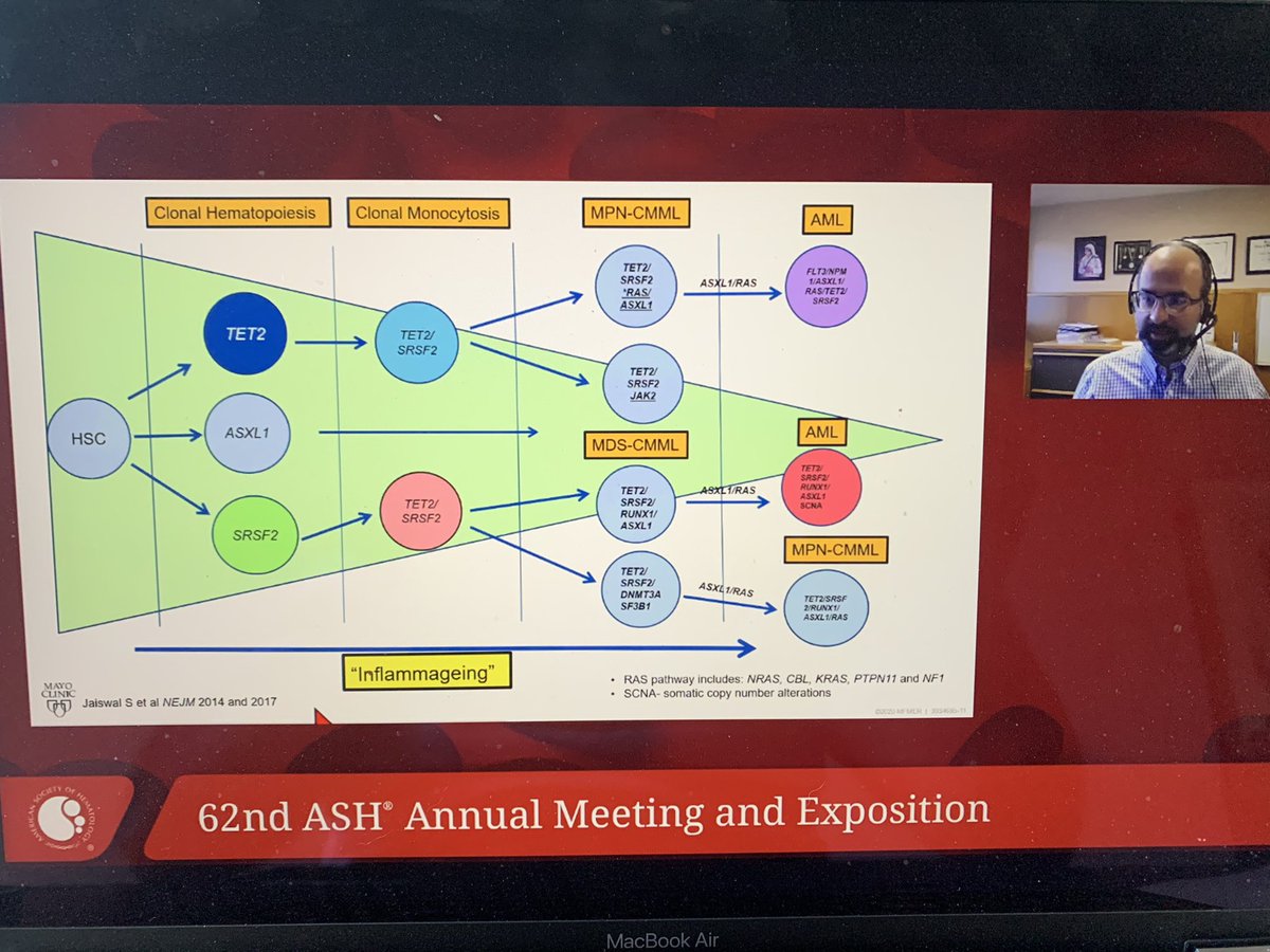 Mrinal Patnaik (@mrinalpatnaik) on Twitter photo Very grateful to <a href="/ASH_hematology/">ASH</a> for giving due recognition to #MDSMPN overlap syndromes| Several exciting papers #CMML #JMML #MDSMPNRST| <a href="/raphaelitzykson/">Raphael Itzykson</a> Dacota study- lack of benefit of HMA in #MPNCMML @MoritzBinderMD ssRNA ssATAC in #ASXL1mtCMML <a href="/MayoClinicCIM/">Mayo Clinic Center for Individualized Medicine</a> Very grateful to <a href="/ASH_hematology/">ASH</a> for giving due recognition to #MDSMPN overlap syndromes| Several exciting papers #CMML #JMML #MDSMPNRST| <a href="/raphaelitzykson/">Raphael Itzykson</a> Dacota study- lack of benefit of HMA in #MPNCMML @MoritzBinderMD ssRNA ssATAC in #ASXL1mtCMML <a href="/MayoClinicCIM/">Mayo Clinic Center for Individualized Medicine</a>