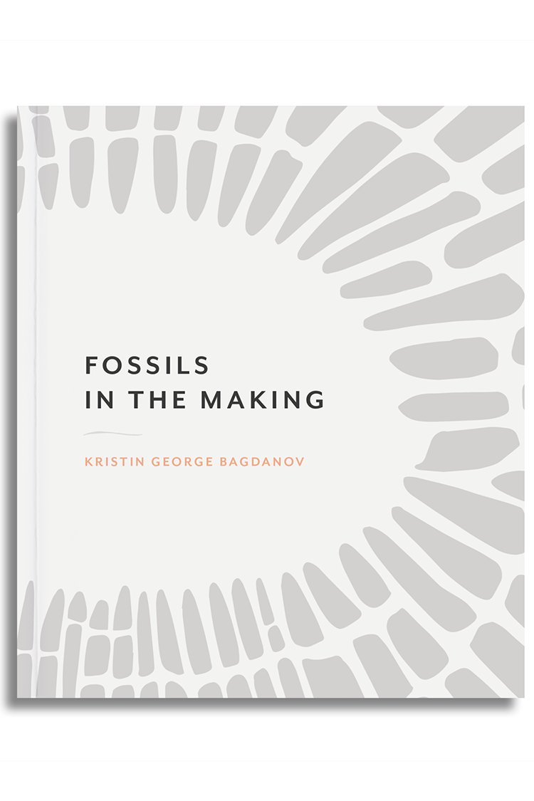 SmallPressWeek's tweet photo. What kind of books does @BlackOceanOrg publish?

Fossils in the making by @KristinGeorgeB is a collection of #poems that want to be bodies and bodies that want to be poems. 

https://t.co/LrAv4CHC1t

#SPWeek20 #SmallPressWeek #poetrycommunity https://t.co/nzFU81VmOF