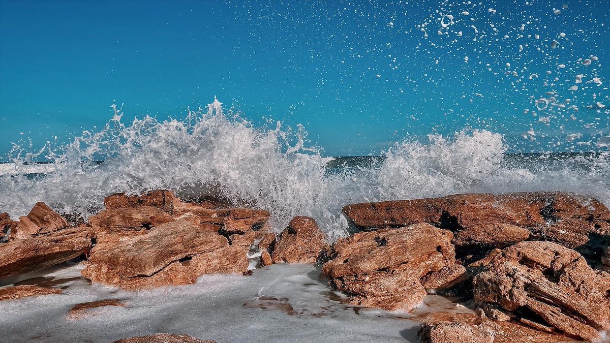 FLStateParks's tweet photo. #ThisOrThat What’s your #ParksPick: a still, glassy lake ⛅ or roaring ocean waves🌊? Tell us your #FloridaFav in the comments!
***
📍Paynes Prairie Preserve State Park// IG: mfranklinphoto
📍Washington Oaks Gardens State Park// IG: bec_lectic https://t.co/N2m5O72i8t
