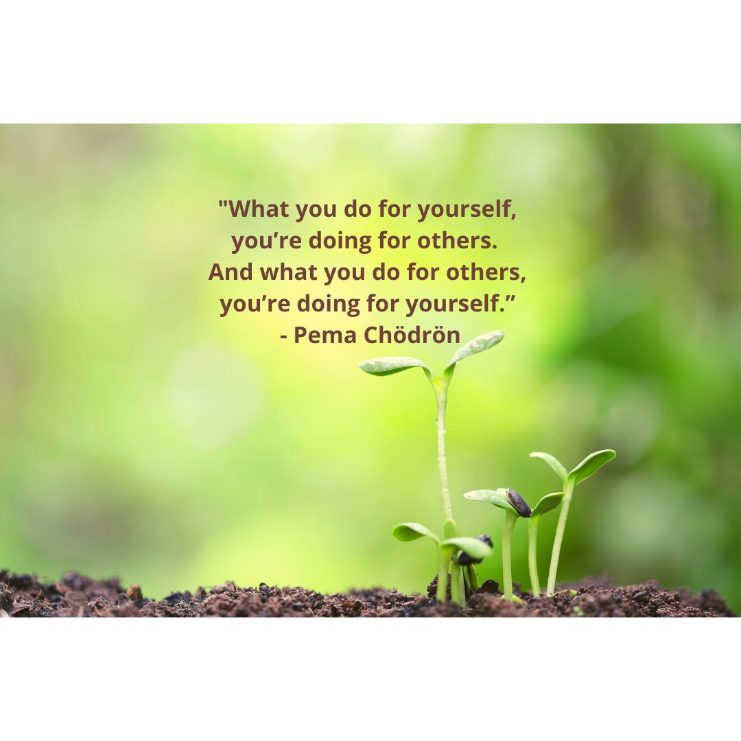getoi_'s tweet photo. #organicintelligence #traumasafe #endoftrauma #HEART #mindfulness #compassion #pemachodron https://t.co/hg0yim7oFF