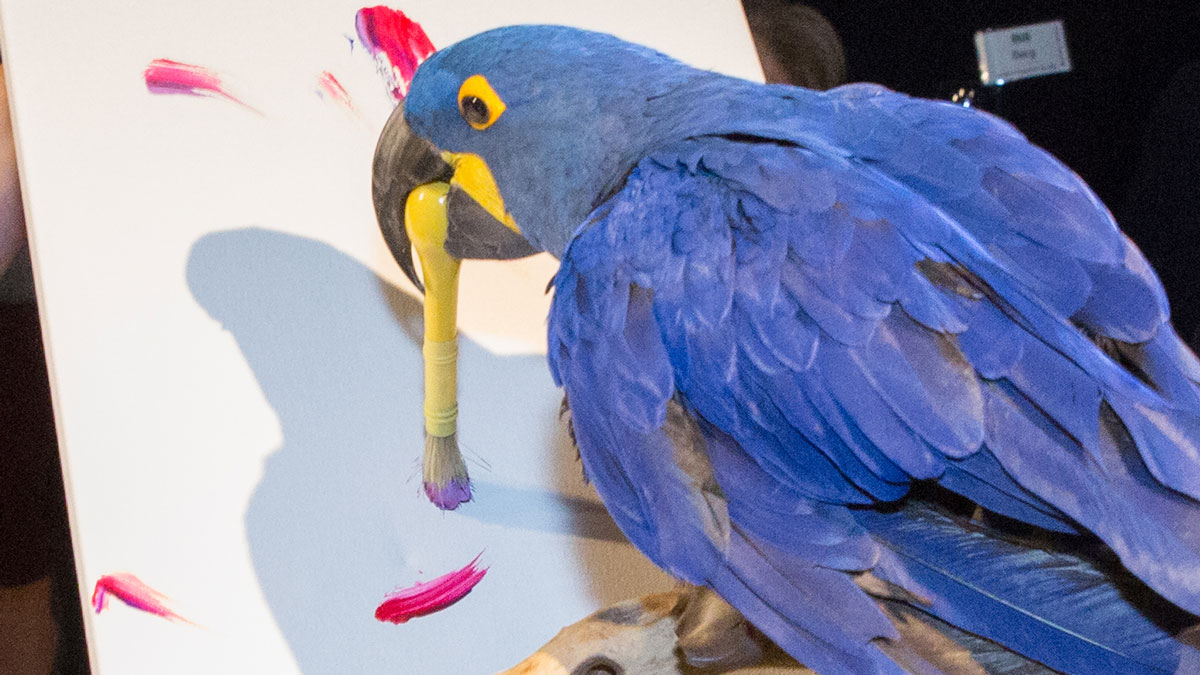 Here at the Aquarium, we’re very proud of our resident animal artists! This painting was created by Margaret the hyacinth macaw, who paints by holding the brush in her beak and making deliberate brush strokes. (1/4)