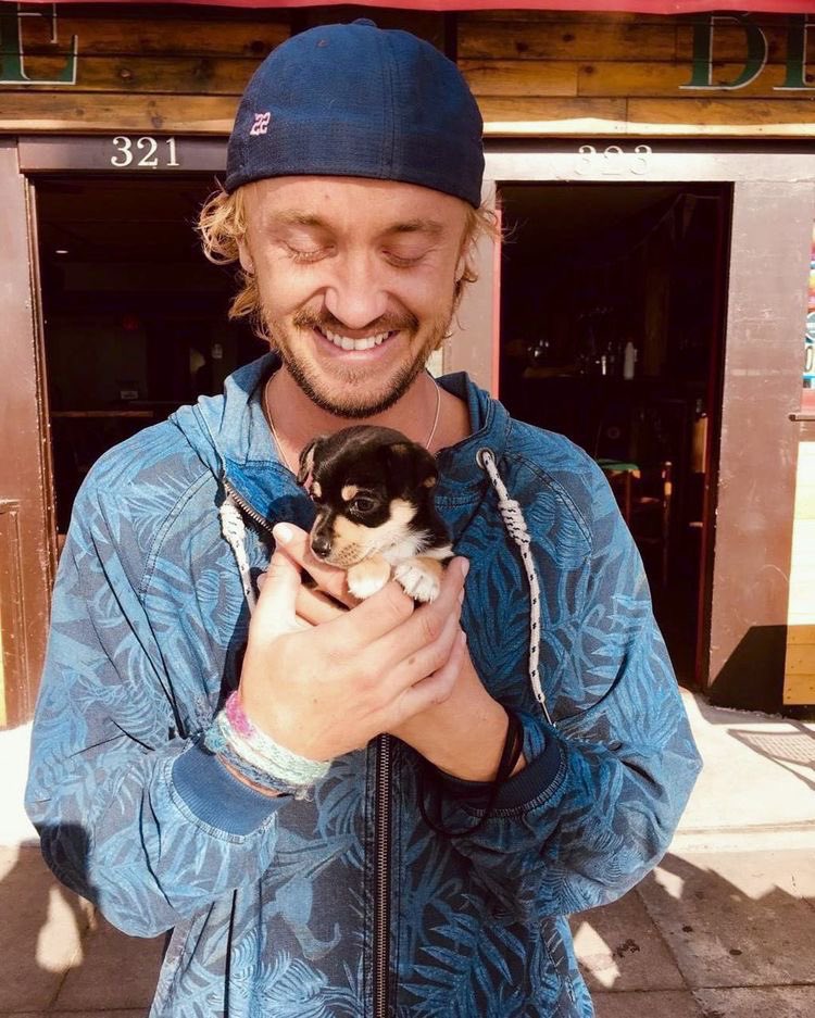 tom felton as rainbow care bears; 𝐚 𝐭𝐡𝐫𝐞𝐚𝐝