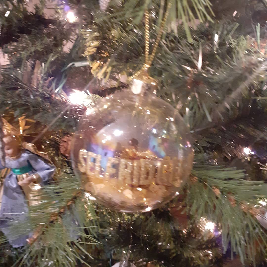 BrendaG668's tweet photo. Santa trying to escape since last Christmas 😂😂 https://t.co/D6z8gnbc4b