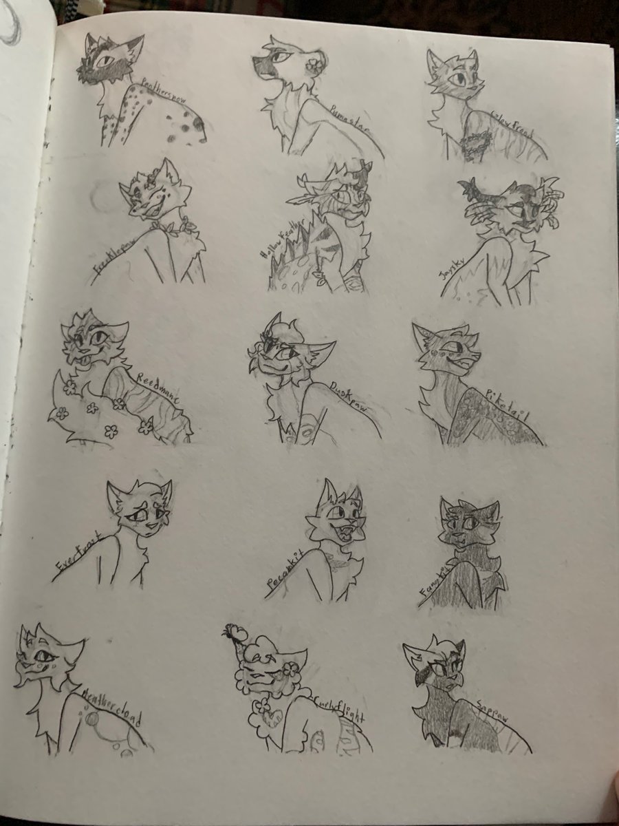 Not my usual doodle pages, but I dug up a bunch of old Warrior Cats Ocs I bought nearly 2 to 3 years ago and wanted to draw them all...There were a LOT more than I remembered #WarriorCats