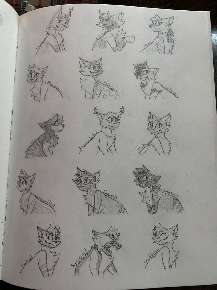 Not my usual doodle pages, but I dug up a bunch of old Warrior Cats Ocs I bought nearly 2 to 3 years ago and wanted to draw them all...There were a LOT more than I remembered #WarriorCats