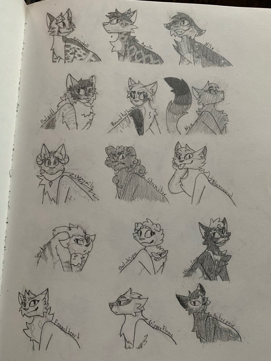 Not my usual doodle pages, but I dug up a bunch of old Warrior Cats Ocs I bought nearly 2 to 3 years ago and wanted to draw them all...There were a LOT more than I remembered #WarriorCats