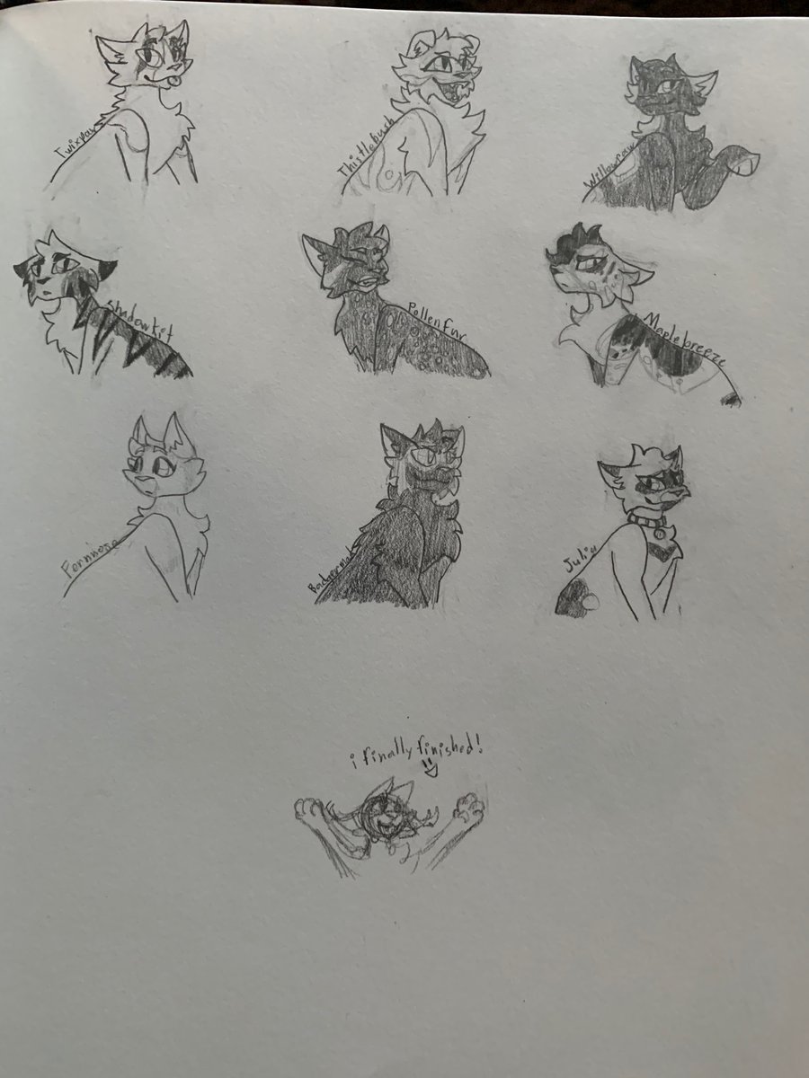 Not my usual doodle pages, but I dug up a bunch of old Warrior Cats Ocs I bought nearly 2 to 3 years ago and wanted to draw them all...There were a LOT more than I remembered #WarriorCats