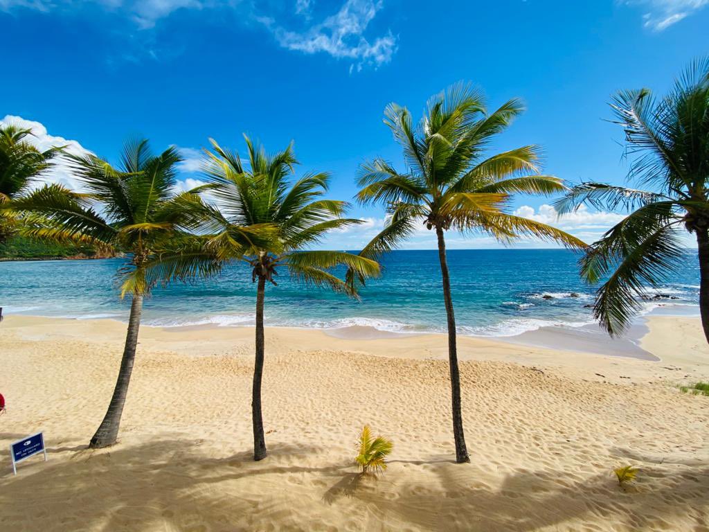 Curtain Bluff tweet media