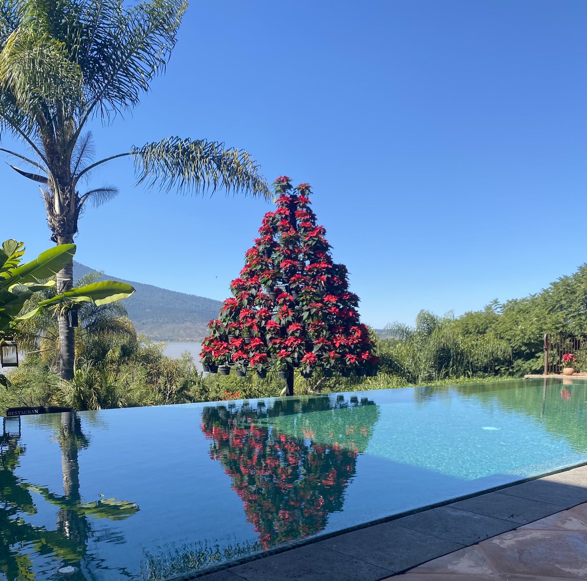 HotelUcaz's tweet photo. Festeja navidad en https://t.co/6l72The2Gm https://t.co/9zTh2Hc2vY