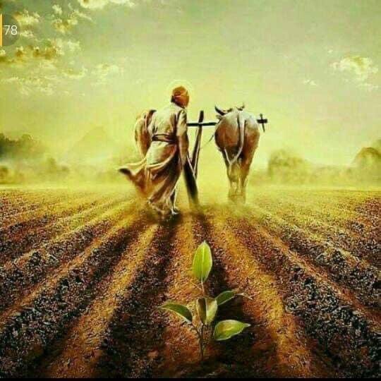 Reema_45's tweet photo. Guru Nānak Sahib ji was a farmer too in kartarpur for many years. Happy Gurpurab to everyone, may you all stay blessed. May god be with all the farmers , and give more strength and hope to all of them fighting against injustice #standwithfarmerschallenge⁠⁠ #isupportfarmers https://t.co/7IdJjwpFCU