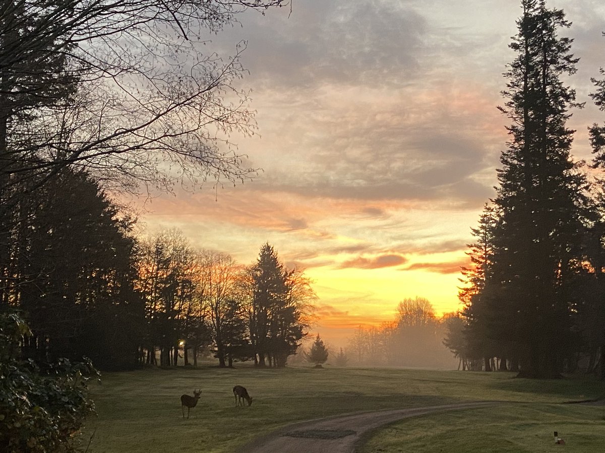What a December morning <a href="/GolfGG/">Glacier Greens Golf Club</a>. Golf is booming in the Valley!