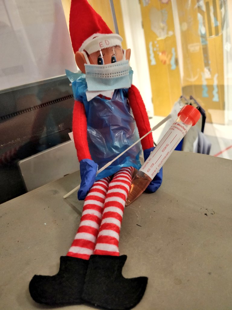 Ed the Elf donned up in his PPE last night and was ready and raring to help us with swabbing #teamwork 😂