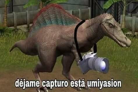 mikefalopa's tweet photo. @rubiusbless https://t.co/nXJT1JQdWy