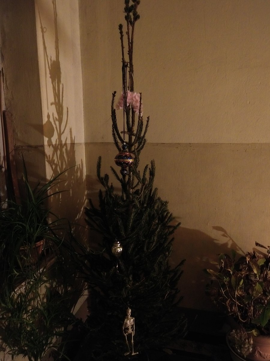 lakazel's tweet photo. Vom Einkaufen bis nach Hause haben wir so ein schön beleuchtetes #Görlitz gesehen! Die Stadt hat die #SchlesischenLichtzepter vom Christkindelsmarkt überall verteilt und beleuchtete #Krippen an den Straßen aufgestellt. 4. Bild im Hausflur-#Rotfichte muss sein https://t.co/a6a31mfoWv
