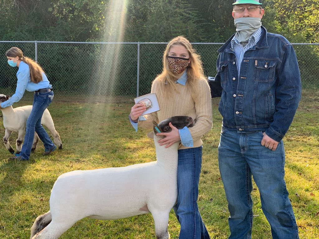 Klein Collins FFA tweet media