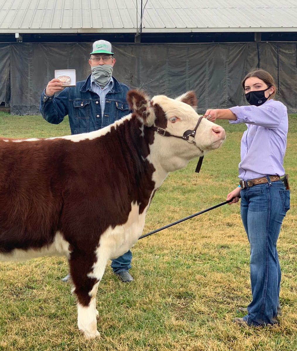 Klein Collins FFA tweet media