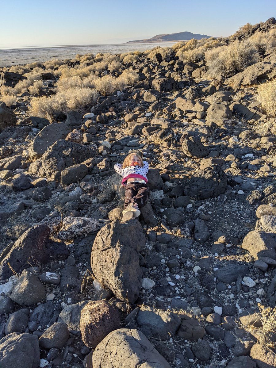 Kick back for a thread about Robert Smithson's  #SpiralJetty It was commissioned by Robert in 1970 and it is 1500ft long from the shore. What isn't talked about, is the rocks he used to construct it, which I will discuss here.