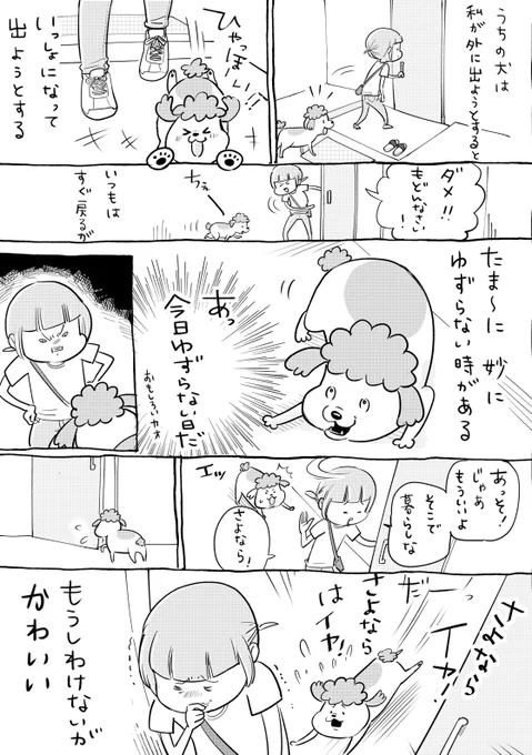 犬と猫どっちも飼ってると、部屋からでるのも毎日たのしい 