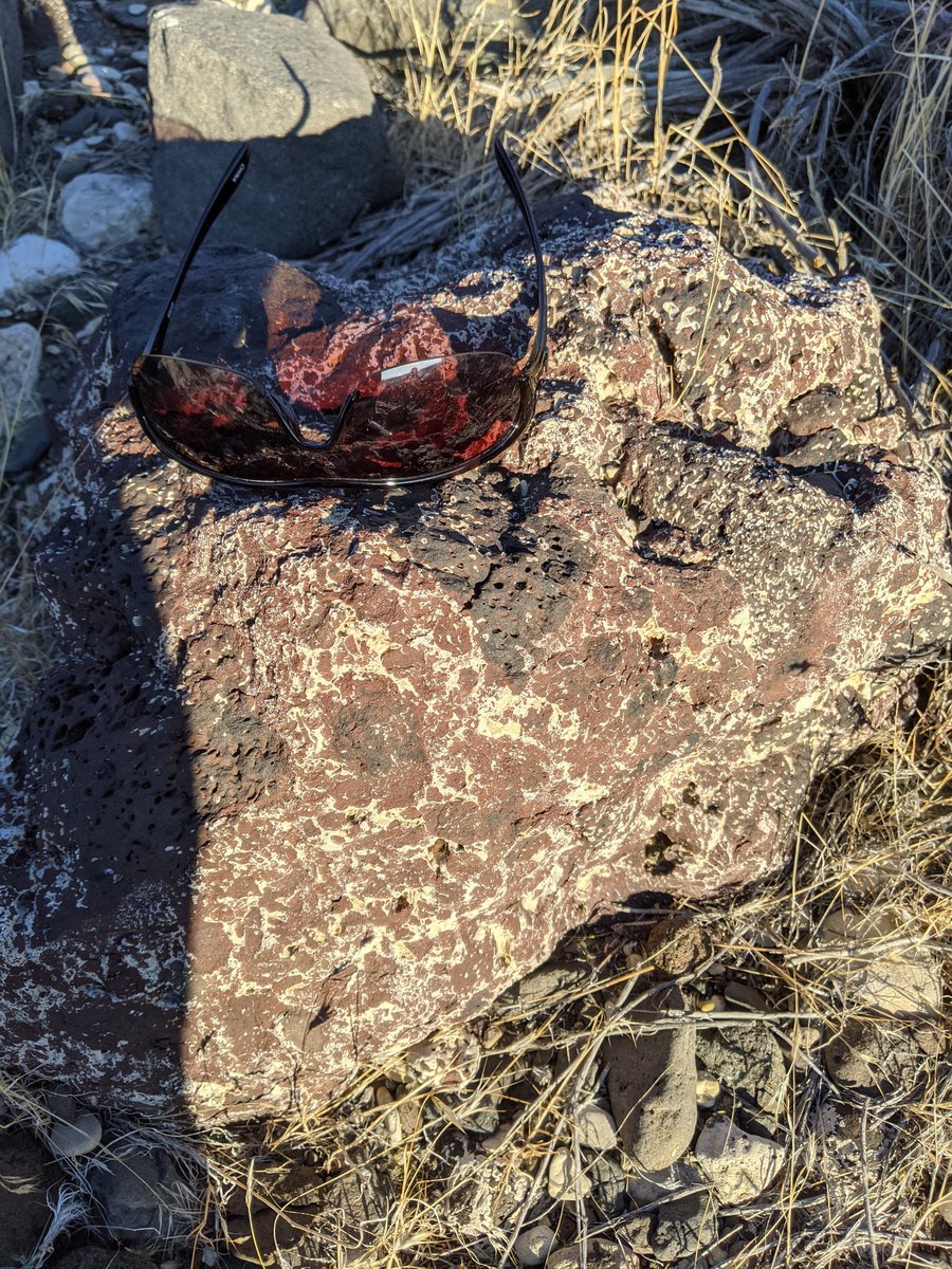 First up is brecciated basalts in (not confirmed but believed) to be white limestone. These are quite interesting to find here and there but I found none in situ so I cannot say if they were moved here or not.
