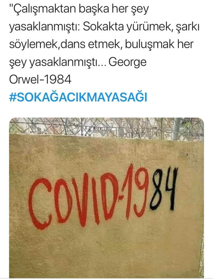Tarigulu Khasizada tweet media