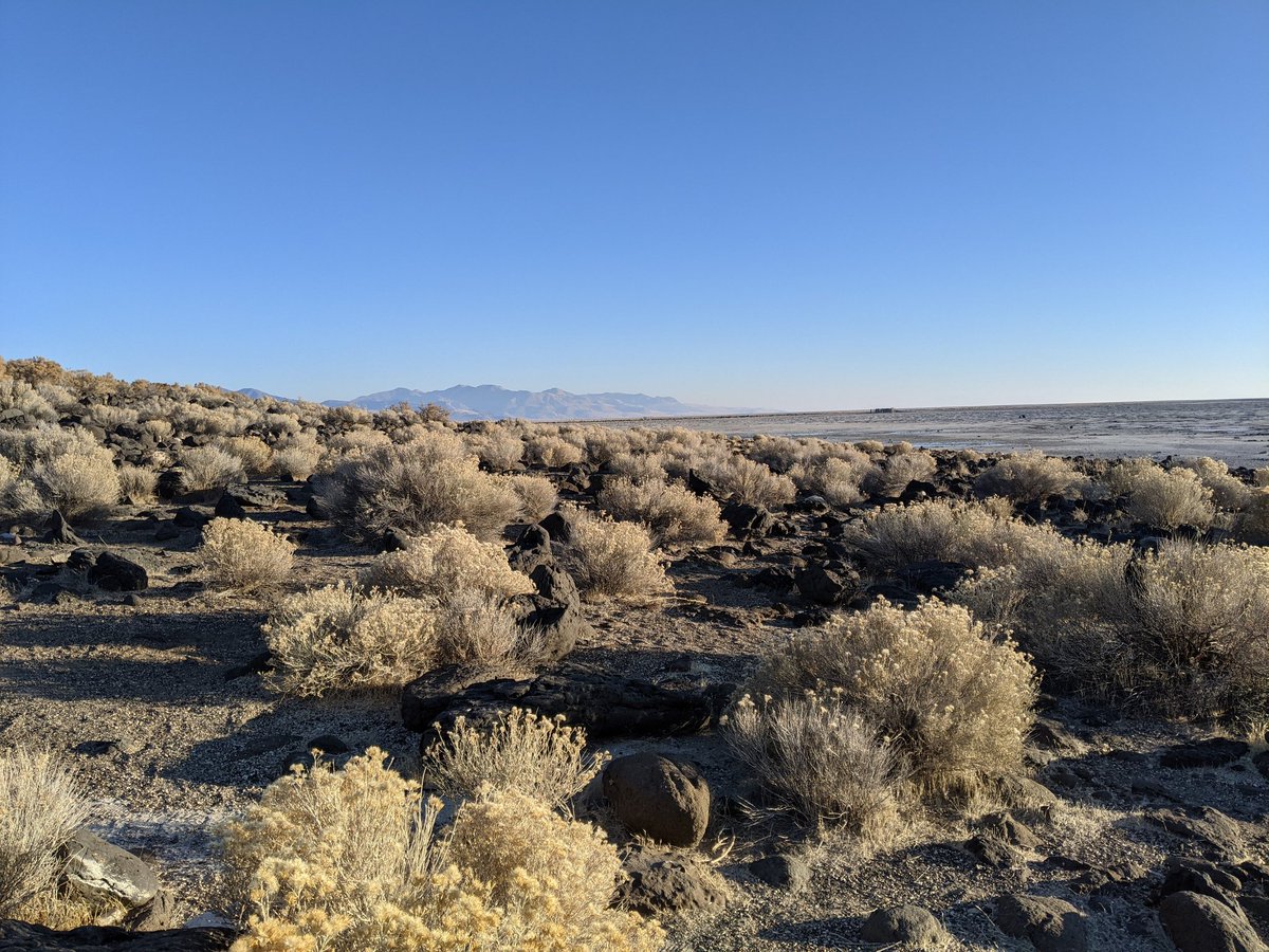 Next up is the jetty itself. It is composed of black  #basalts brought from the small mountain in the background and at the beach. The jetty itself is only basalt however there are other rocks nearby.