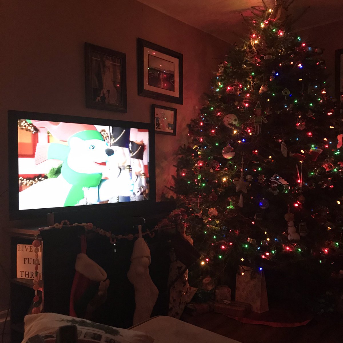 mjnick1's tweet photo. @melissagrelo We are loving it!! https://t.co/aXiya522as