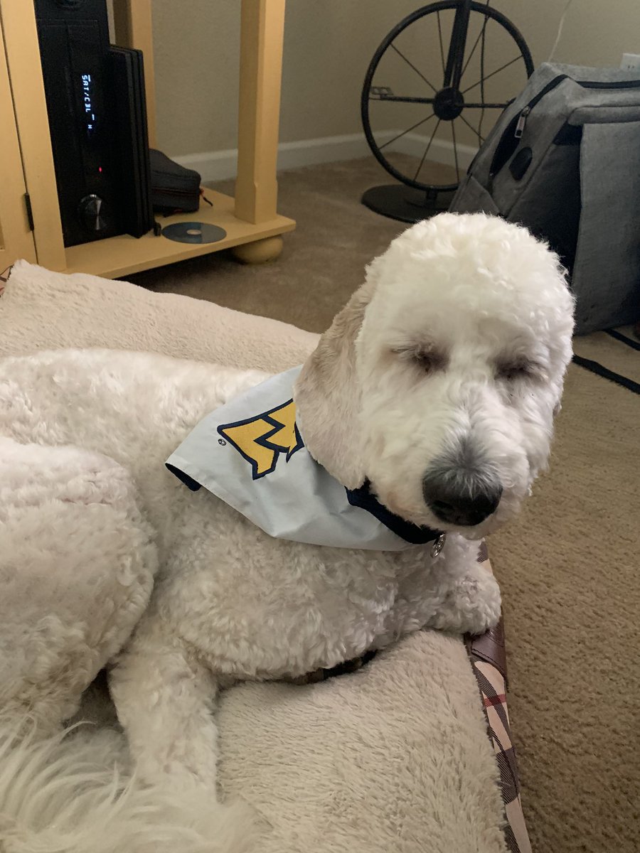TimBrown121314's tweet photo. Let’s go Mountaineers! https://t.co/zm690PzAbo