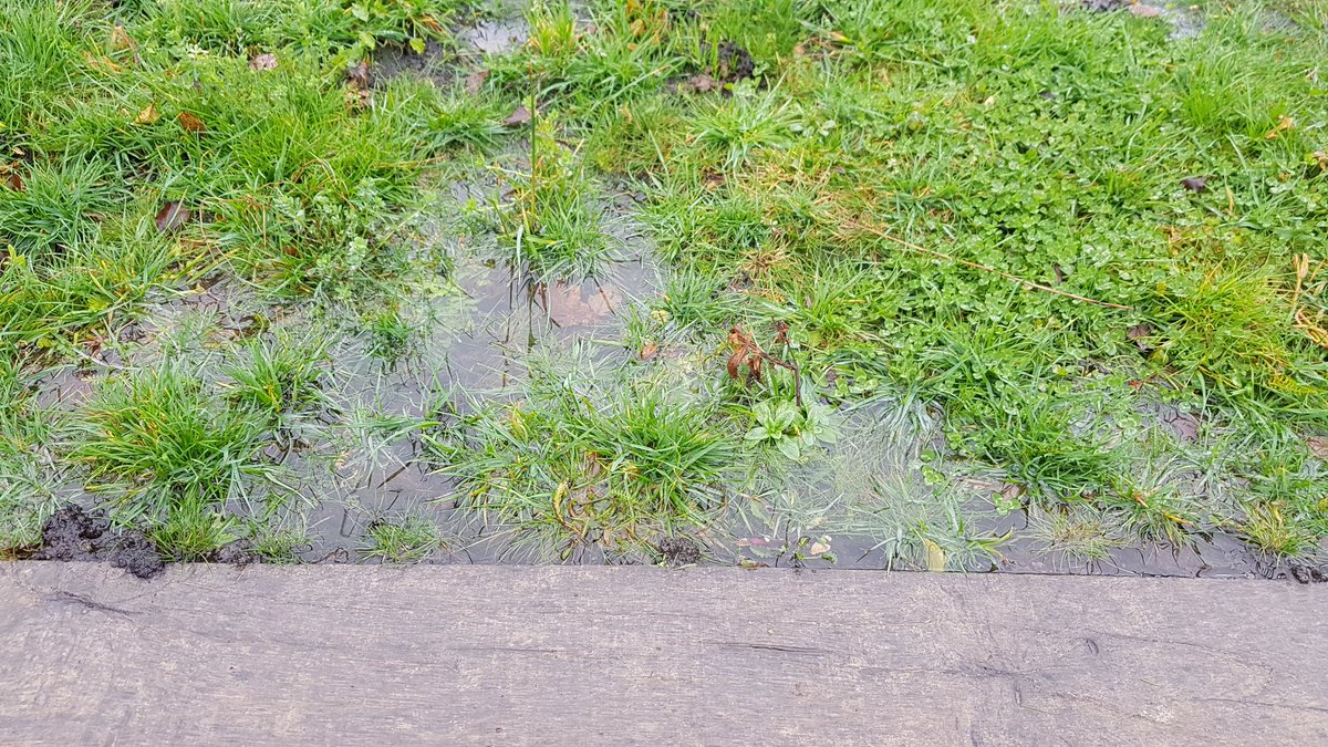 HenllysLNR's tweet photo. Our under-construction 2nd #swathe is certainly doing its job & has slowed #rainwater from going straight down the ex-desireline of the hill. Our retaining wall raised bed is working a treat too. All part of our #LocalPlacesForNature #SuDS #rainscapegarden project #climatechange https://t.co/rxlMZwWmc7