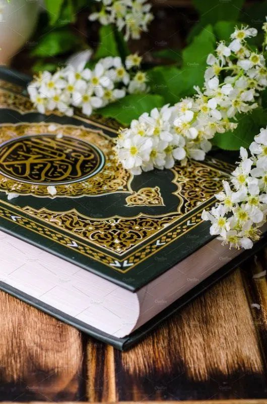 M1189Mashael's tweet photo. يارب ، وأنت اعلم مافي قلبي ،
قل لاُمنياتي كوني🍃     #امنيتك_في_تغريده https://t.co/NJyEeDhugY