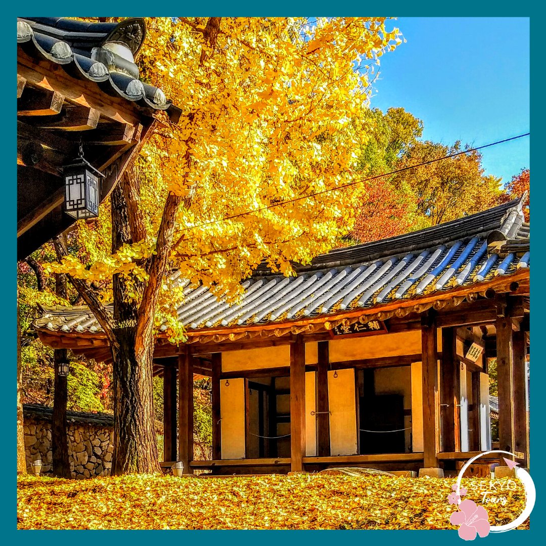 SekyoTours's tweet photo. Y sintiéndolo en el alma, hemos llegado a nuestra última publicación del #EspecialdeOtoño🍁. https://t.co/EPlF473zqn