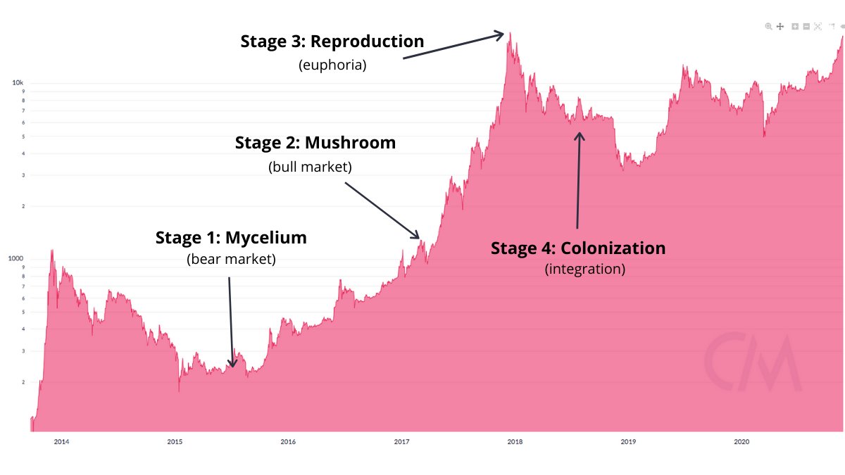 1/  #Bitcoin   grows in “hype cycles” that mimic fungal reproduction.We’ve entered "Stage 2: Mushroom" (bull market)Quick thread 