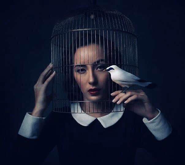 Hepimiz, kendi dışımızdaki koşulların tutsağıyız... 🖤

● Pessoa