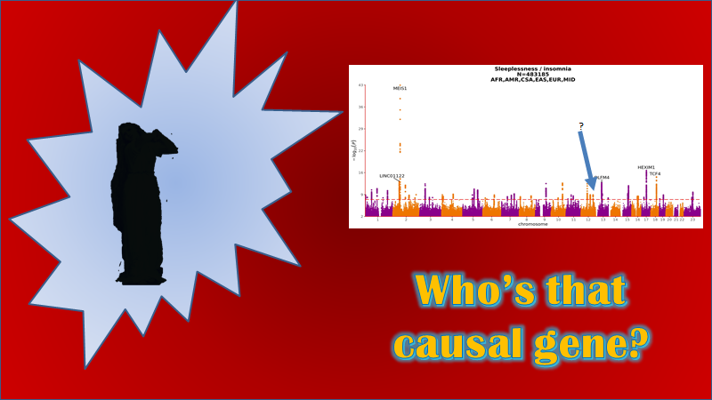 This one was extra tough but I think I may have discovered a droplet of insight, so if you're ready, let's dive in!  https://twitter.com/SbotGwa/status/1335207398135443458