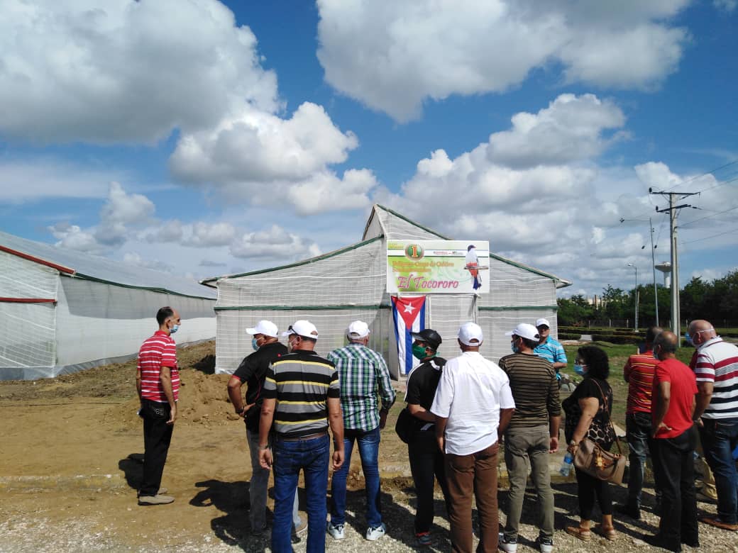 osdegesime's tweet photo. Se desarrolla hoy encuentro entre las Empresas Mecánicas de Holguín y de Bayamo, @holmecaH y #EMBACuba, dos industrias de #GESIME que desarrollan el Encadenamiento Productivo. Recorrido por las cas de cultivo semindustriales que ejecuta la EMBA. @MINAGCuba @ErnestoCedenoR1 https://t.co/bVMGPbLoWJ