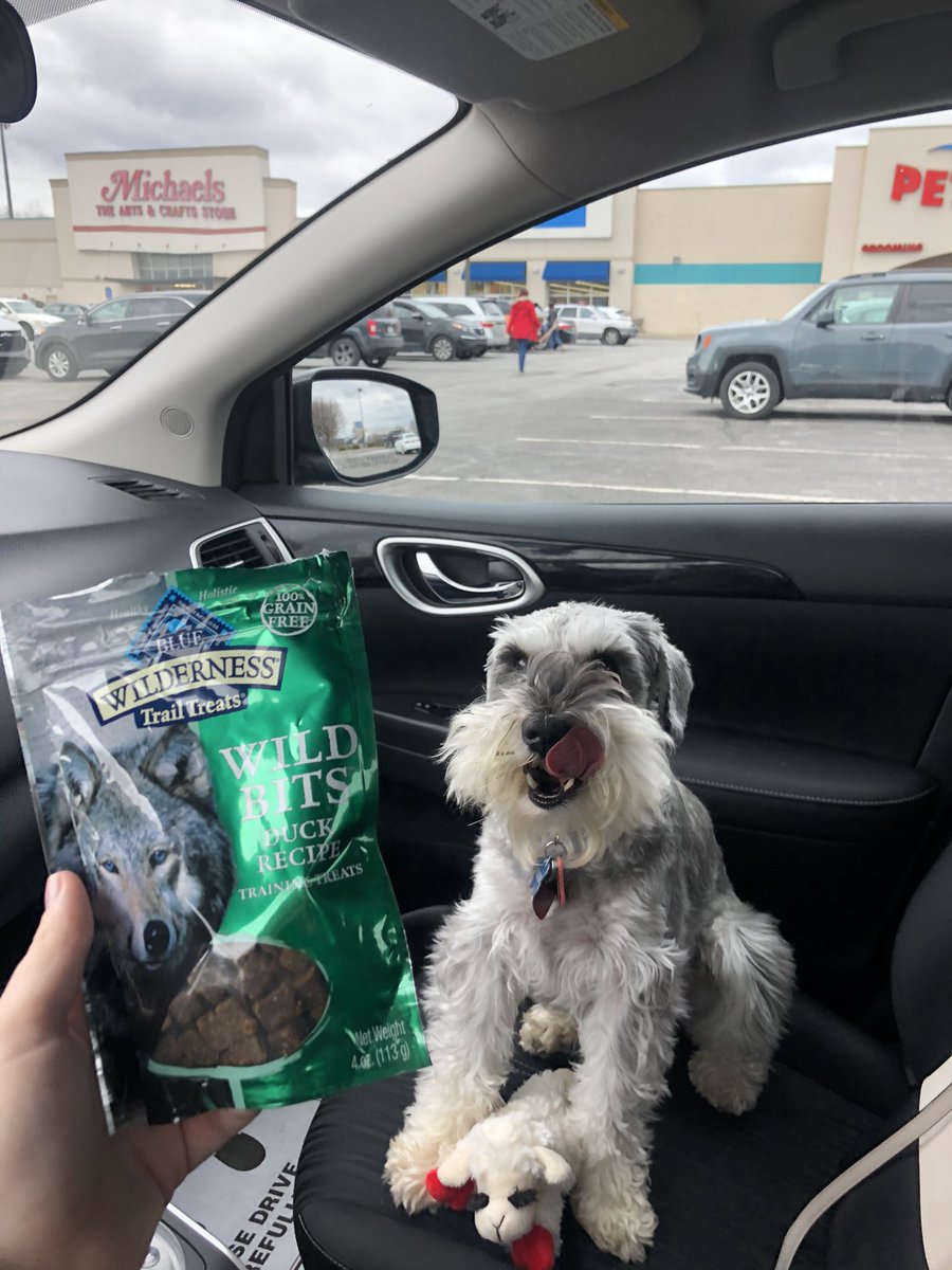 haley_cheeks's tweet photo. tucker seemed down this morning, so i took him out for a doggy day https://t.co/bPBE3zSWMS