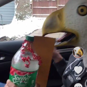 FalconFlash's tweet photo. An Awkward Eagle, a bottle of Sprite Cranberry, and the magic of Christmas combine to provide a special surprise for a friend in quarantine. How? Check https://t.co/f5aZQdYCYV for the story! https://t.co/YIBuSz0ARG