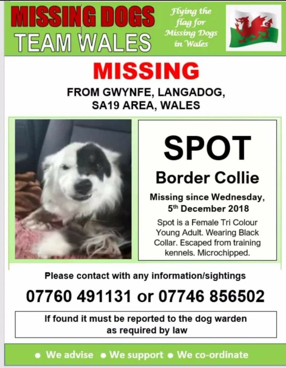 🎄Please Help make a Christmas Wish Come True&Help her HOME She Really needs to be with Her FAMILY They are💔

SPOT #Missing 05 Dec 2018 while at training Kennels #Gwynfe #Llangadog #Wales SA19 Possibly seen around #Lliest PonyYard 
#findSpot #BorderCollie
doglost.co.uk/dog-blog.php?d…