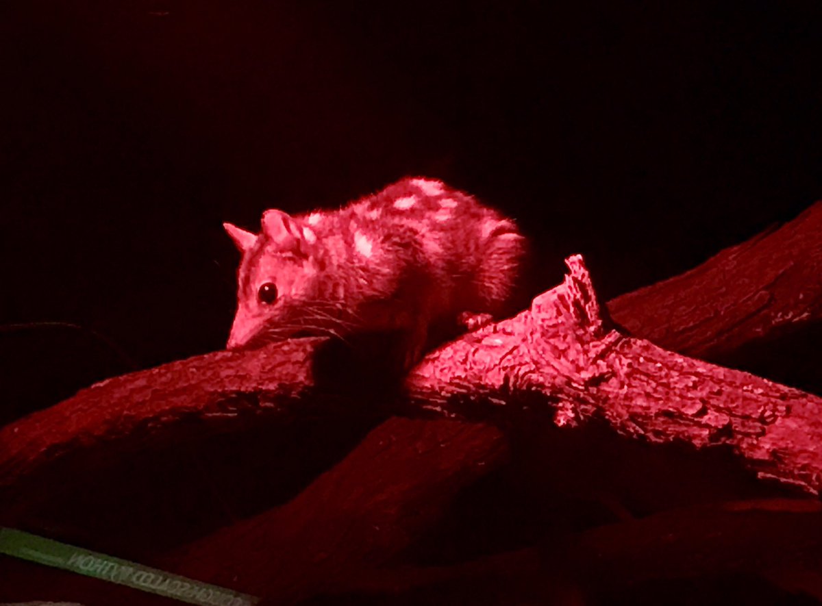 Working on  @OMGenomes has been a quollity experience