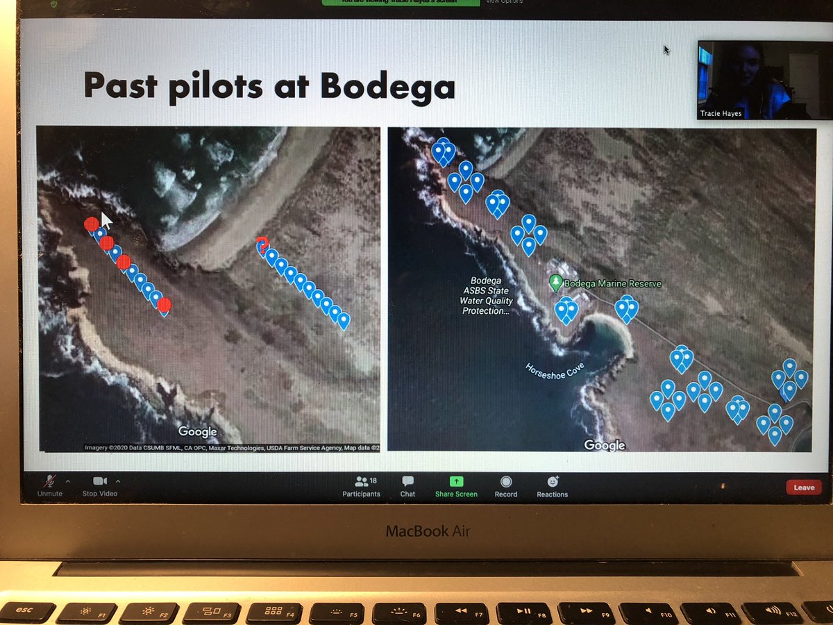 Maddie Armstrong tweet media