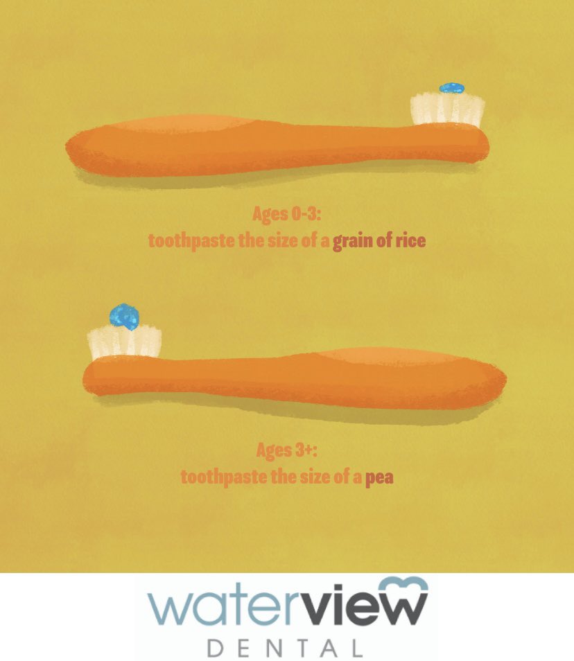 wvdentaltoronto's tweet image. IF A CHILD is below the age of three the toothpaste on their brush should be the size of a grain of rice. Older than age three, a pea-sized amount of toothpaste is perfect! #toothpastefacts #TheMoreYouKnow #oralhygienetips #oralhealth