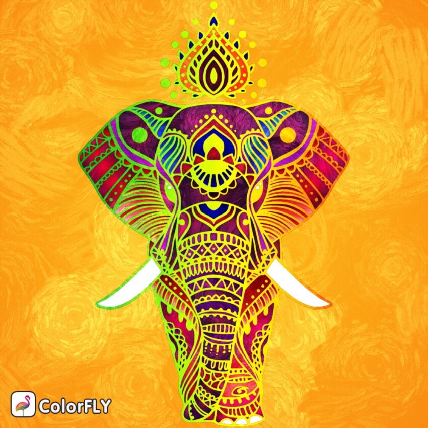 AmyShackles's tweet image. #colorfly might be my new favorite coloring app.