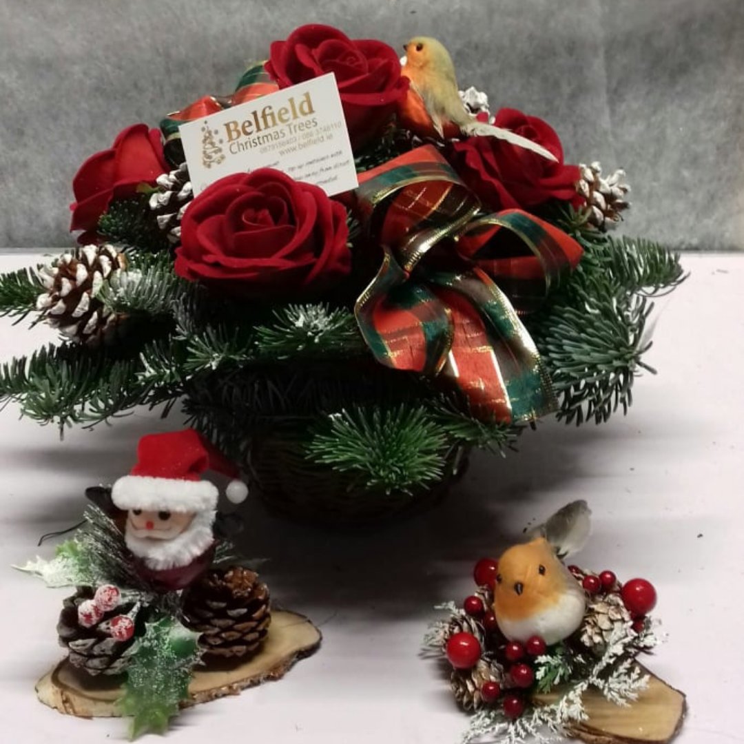 BelfieldTrees's tweet photo. Loved meeting all our customers old an new today. Thank you for calling and supporting our business. We are open again tomorrow - and daily from 9.30am to 8.30pm at our Christmas Tree Market on the NCR Tralee (beside Nolan's Garage) #BelfieldChristmasTrees #LoveARealTree #Tralee https://t.co/Y7LX4uMmm1