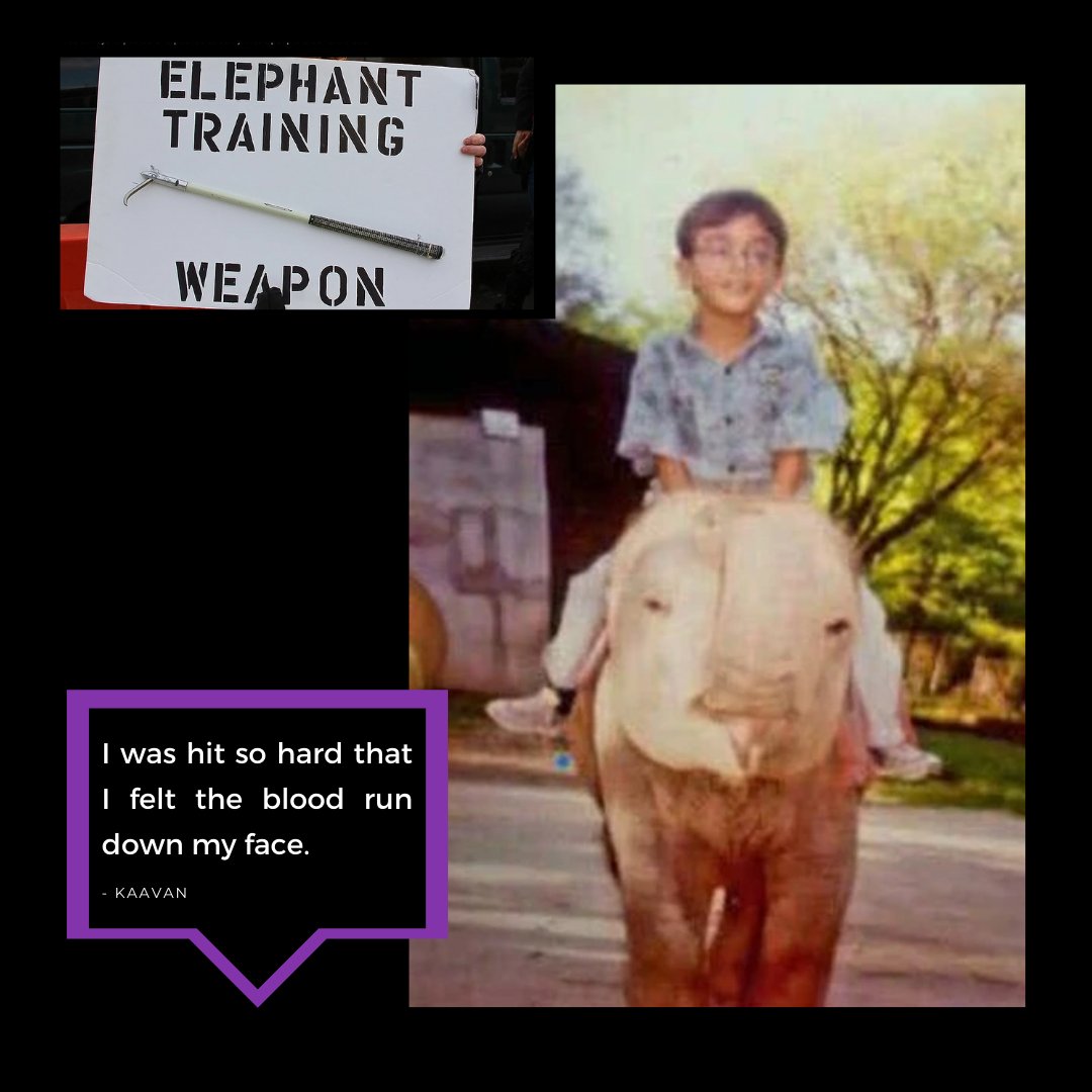 beawaazofficial's tweet photo. If Kaavan could speak, hearts would be wrenched listening to his story.
Zoos are the worst places!!

Kaavan is free, and we are looking forward to witnessing others getting their freedom.
#kaavansjourney #endtheirquarantine #endtheirsuffering https://t.co/FU97gbcpCo