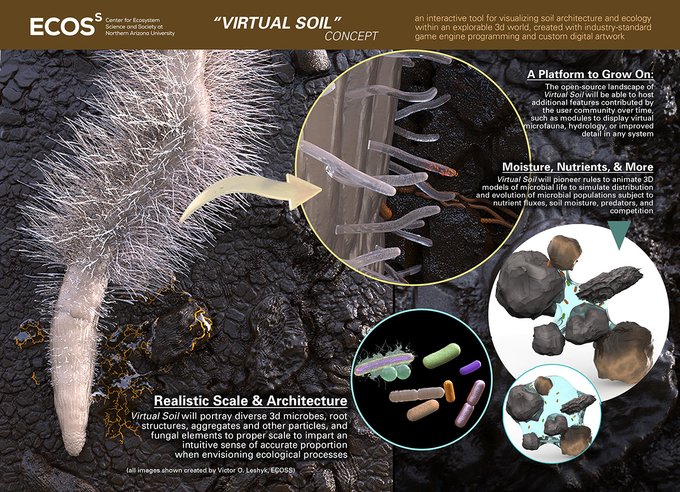 Happy  #WorldSoilDay ! I realize that I've created so much soil-centered  #Sciart that I could share quick tweetstorm of some of my faves # 1) a 3D montage of my efforts to create to-scale models of roots, hyphae, and soil microbes for  @EcossNau to illustrate this Dark Universe...