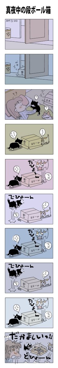 真夜中の段ボール箱
#こんなん描いてます
#自作マンガ #漫画 #猫まんが 
#4コママンガ #NEKO3 