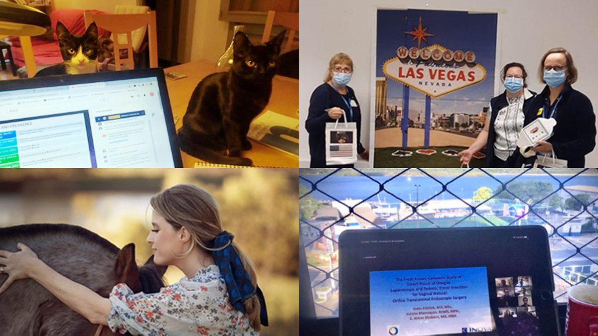 icsoffice's tweet photo. Thank you to everyone who took part in our ICS 2020 Online photo. We have reviewed all the submissions and narrowed this down to our top 5, but there were so many great pictures, we just couldn't pick a winner. Vote for your favourites! https://t.co/F2g3VVo9uk #ICSMeeting https://t.co/Wz85BhNSnI