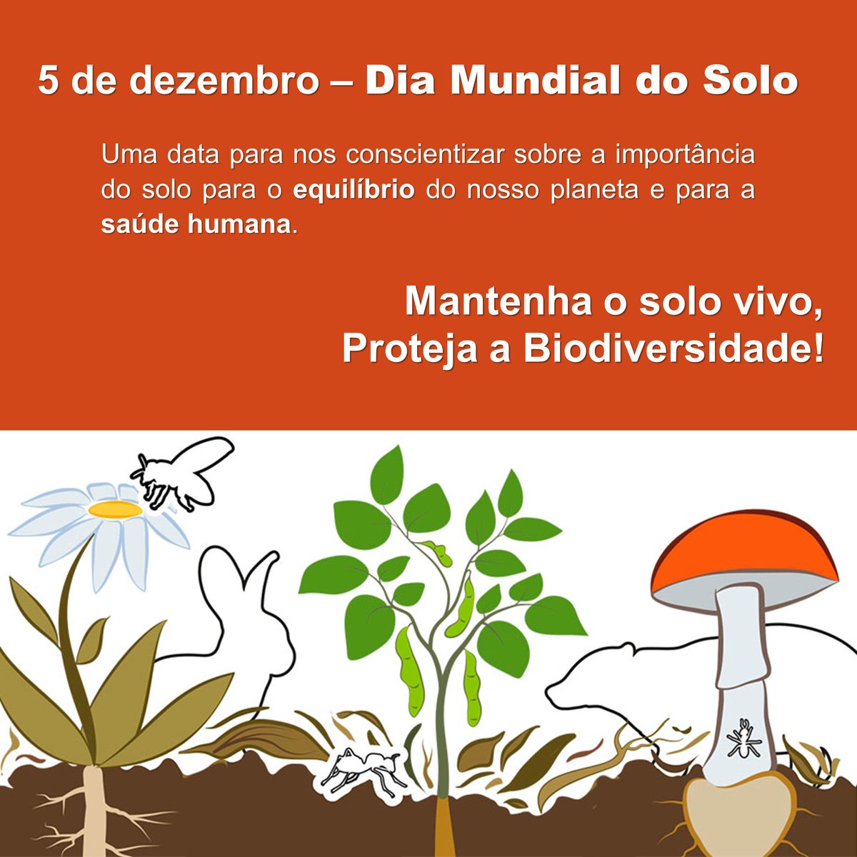 Bruna Claudia tweet media