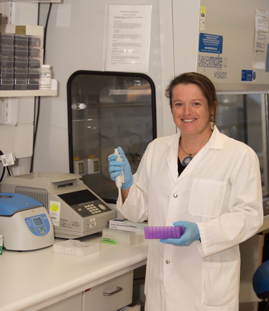 Posing with some exon capture libraries and a pipette in the  @ANUbiomolecular lab like I’m really in the middle of doing lab work (  credit  @SimonCTT)